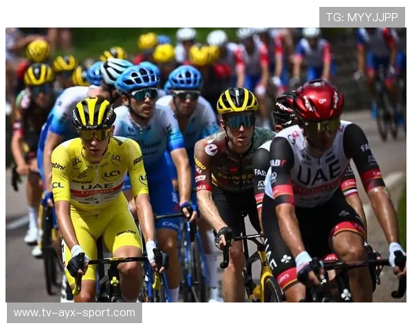 欧洲环法：法国选手崛起，骑行激情四射！，欧洲环线游