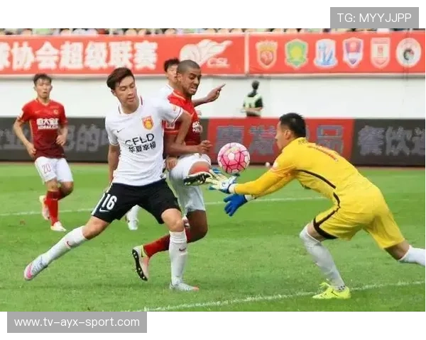 篮球新星崛起,挑战霸主地位!,篮球新星崛起,挑战霸主地位怎么打 篮球新星崛起,挑战霸主地位!,篮球新星崛起,挑战霸主地位怎么打