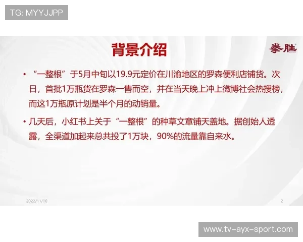 案例研究报告：执行成功